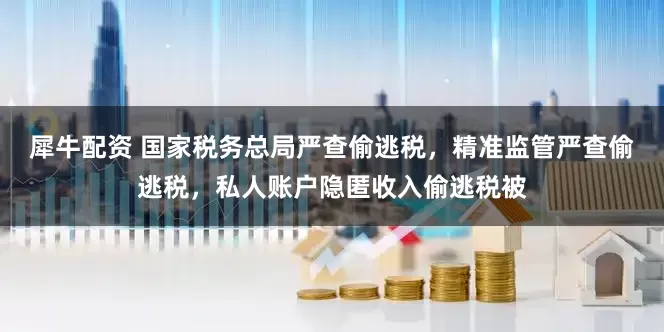 犀牛配资 国家税务总局严查偷逃税，精准监管严查偷逃税，私人账户隐匿收入偷逃税被